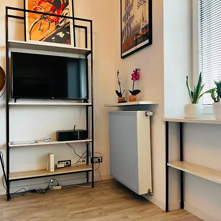 Lazienki Krolewskie Z Antresola I Widokiem